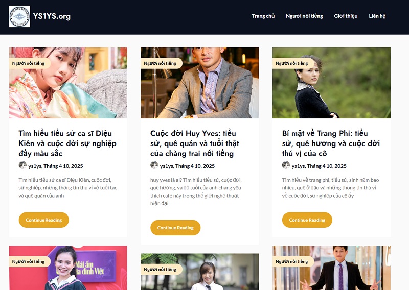 Đôi nét về YS1YS